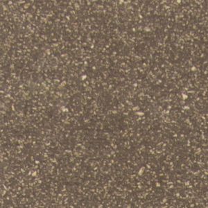 301 - HAZELNUT BROWN
